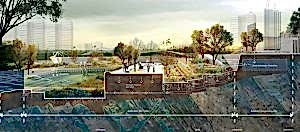 landscape su managment